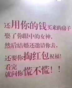 吃瓜高手文案短句,揭秘娱乐圈幕后真相的短句集锦